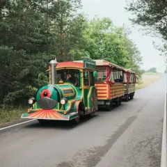 Kolorowy pociąg turystyczny jedzie przez las. To świetne atrakcje dla dzieci na Jurze Krakowsko-Częstochowskiej.