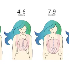 Ilustracje pokazują, jak nosić noworodka w zależności od wieku: od 0-3 miesięcy do 10-12+ miesięcy.