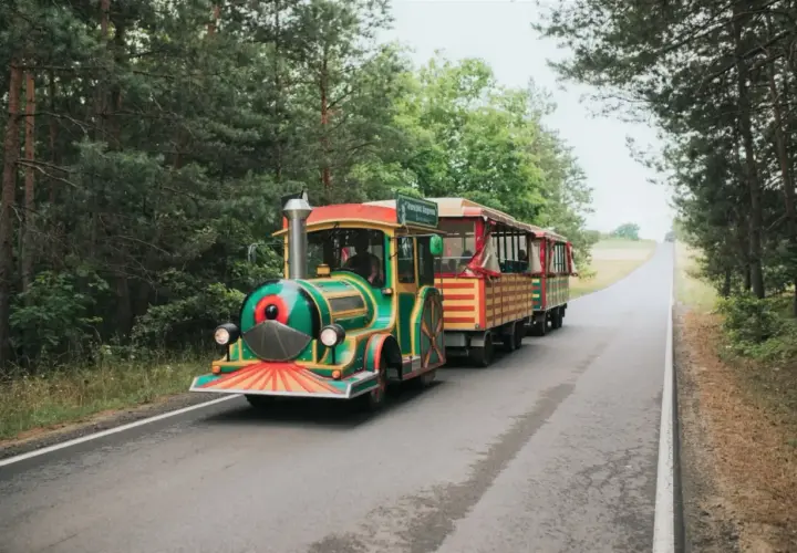 Kolorowy pociąg turystyczny jedzie przez las. To świetne atrakcje dla dzieci na Jurze Krakowsko-Częstochowskiej.