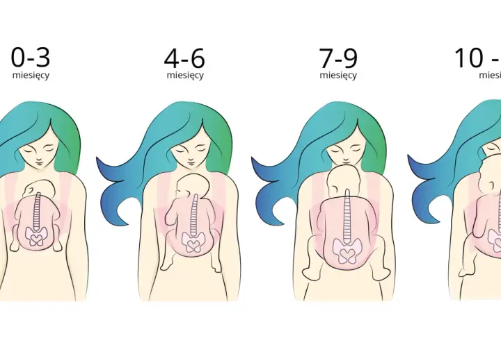 Ilustracje pokazują, jak nosić noworodka w zależności od wieku: od 0-3 miesięcy do 10-12+ miesięcy.