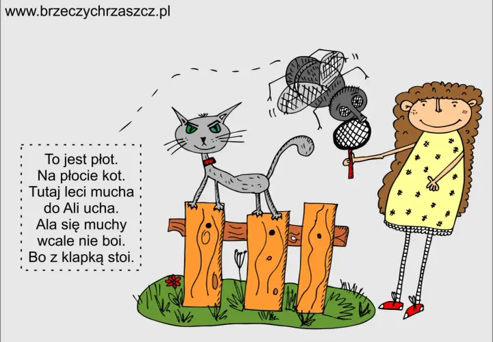 Wierszyki dyscyplinujące przedszkolaków: kot na płocie, mucha do ucha Ali, a Ala z klapką nie boi się muchy.