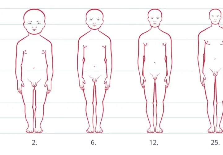 Ilustracja pokazuje etapy rozwoju niemowlaka i dziecka od noworodka do 25. roku życia, ukazując zmiany w proporcjach ciała.