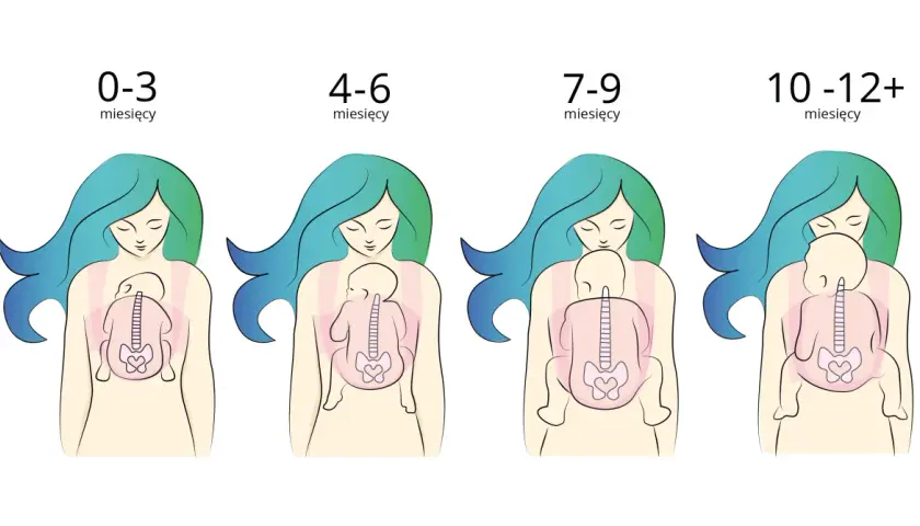 Ilustracje pokazują, jak nosić noworodka w zależności od wieku: od 0-3 miesięcy do 10-12+ miesięcy.