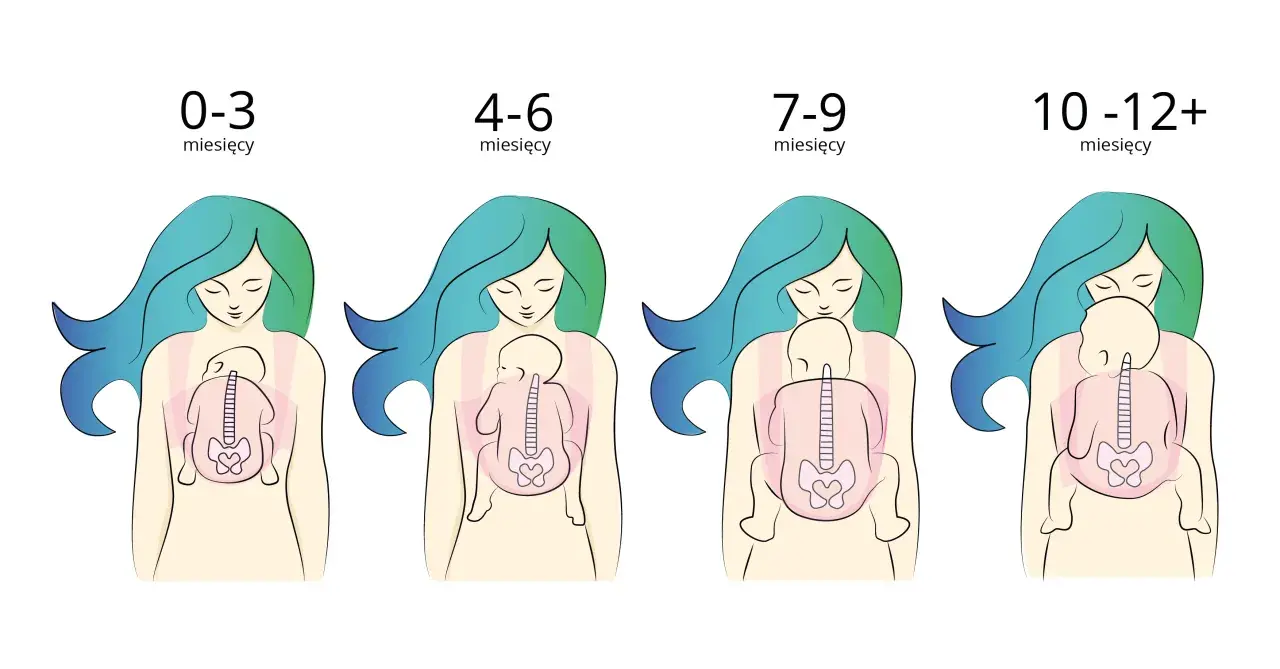 Ilustracje pokazują, jak nosić noworodka w zależności od wieku: od 0-3 miesięcy do 10-12+ miesięcy.