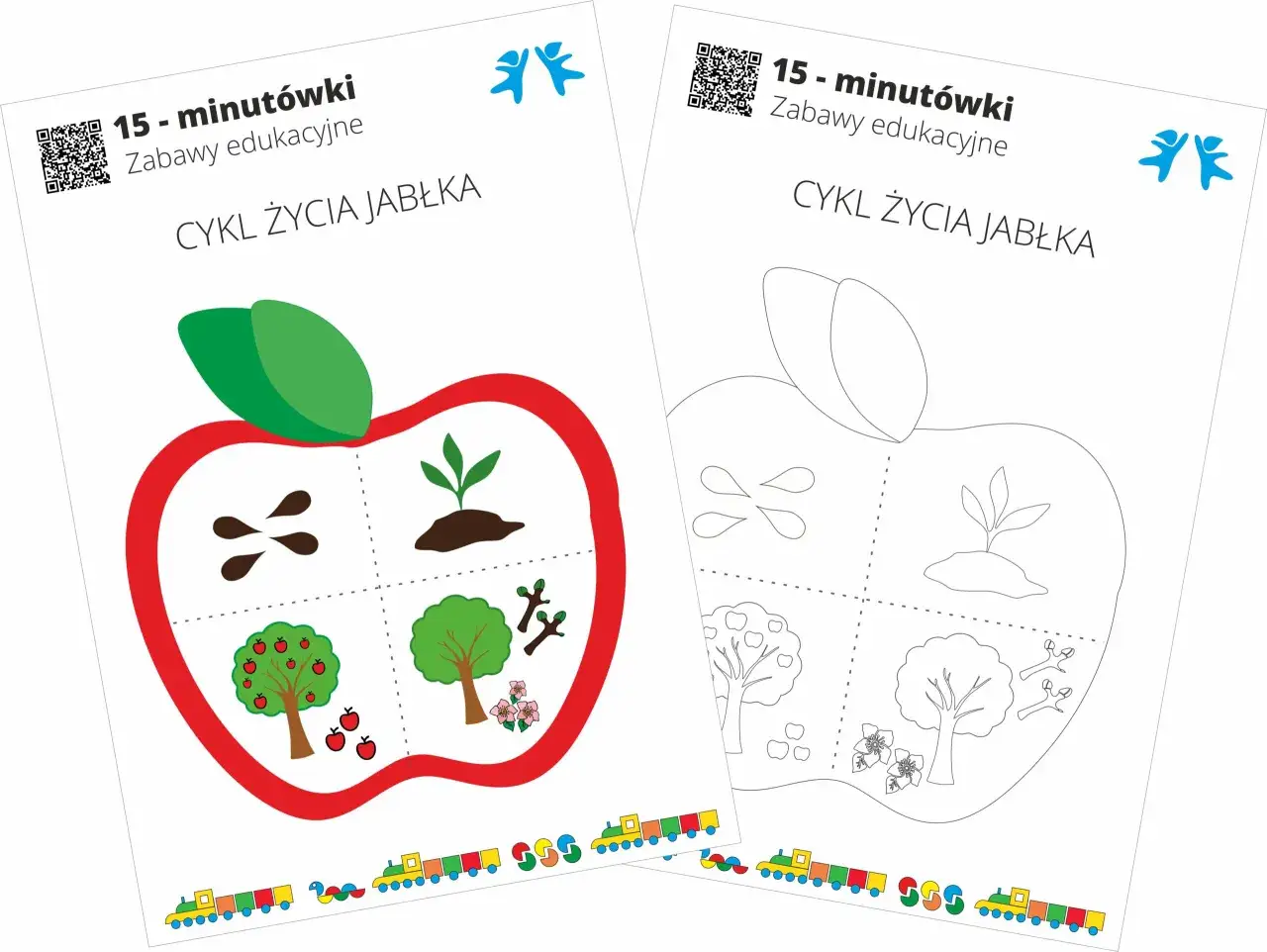 Kolorowa karta edukacyjna z cyklem życia jabłka, idealna na zajęcia dla 5 latk&oacute;w. Obok wersja do kolorowania.