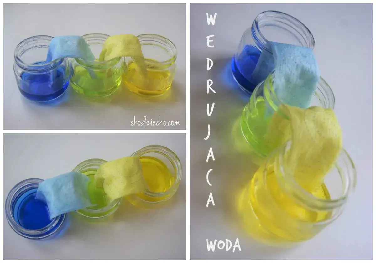 Kolorowa woda w słoikach przenika przez papierowe ręczniki. Fascynujące eksperymenty z wodą pokazują, jak ciecz wędruje.